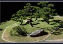 04-bonsai