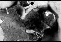 22-b