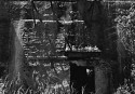 ur_19