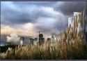 la-ciudad-de-la-furia
