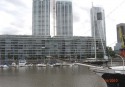 analia-bahia-campos-1