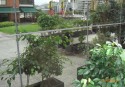 analia-bahia-campos-9