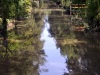 Mario Feijoo Canal