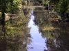 Mario Feijoo Canal