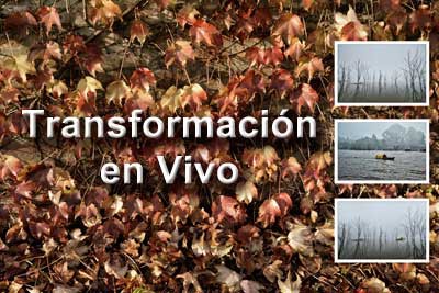 Transformacion-web