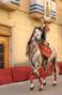 15-Quintana Fiore, Rosalba  - La del caballo - Color - Aceptada