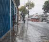 04-Mención Especial - Lluvia - Viotti Susana
