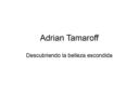 Adrian-Tamaroff-001