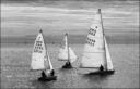 008-Mención de Jurado - Regata - Tamaroff Adrian