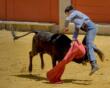 01-1º Premio - Estocada final - Quintana Rosalba