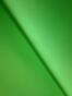 23-Nahmad, Hector - Verde - Abstracta - Aceptada