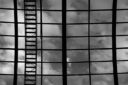 07-3º Mención - Escalera al Cielo - Tussie Irene