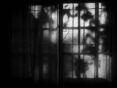 02-2º Premio - Ventana Mágica - Santamaría Claudio