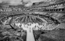14-Quintana Fiore, Rosalba  - Panoramica del coliseo - Monocromo - Aceptada
