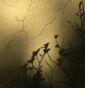 05-1º Mención - Sombras en la pared - Quintana Rosalba