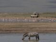17-Brachetti, Gabriel Jorge - Serengeti - Travel - Mención de Honor