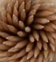 13-Brachetti, Gabriel Jorge - Espiral de escarbadientes - Formas y Patrones - Aceptada