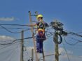 01-D`Urbano, Miguel Anguel - Entre Cables - Actividad Humana - Mención de Honor