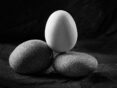 001-1º Premio - Huevos Duros - Brachetti Gabriel